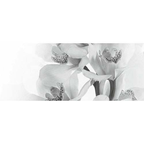 Декор панно Элегия 7 тип 2 (цветы Орхидея) 20x50см.
