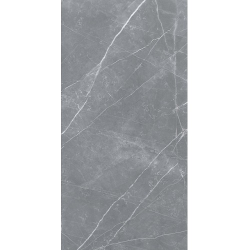Плитка PULPIS (MATTE) 60x120 см. серый 12060 40 071