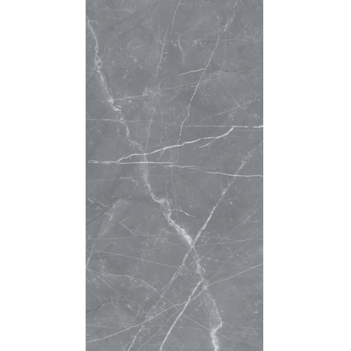Плитка PULPIS (MATTE) 60x120 см. серый 12060 40 071 - фото 1