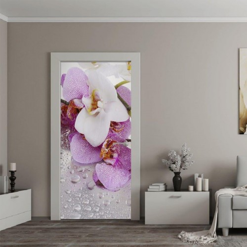 Наклейка на двери «Орхидея Фаленопсис» 104x210 см. (119771191)