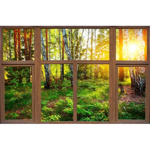 Наклейка интерьерная окна 150x98см (2705229)