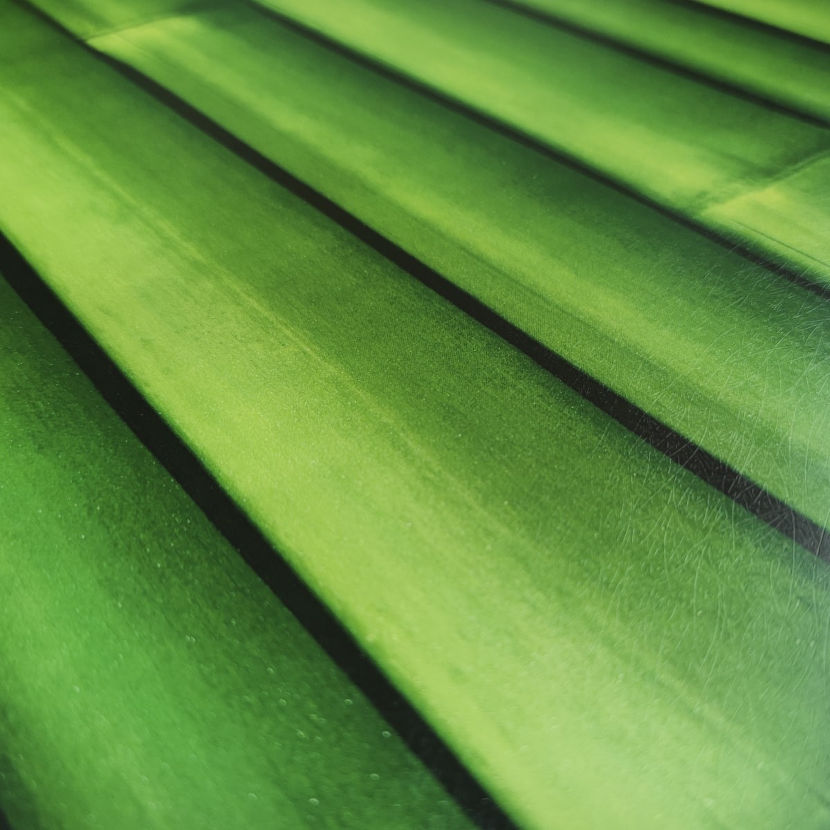 Самоклеющаяся пленка «Бамбук» 0,45х10м (KN-X0183-1) - фото 1